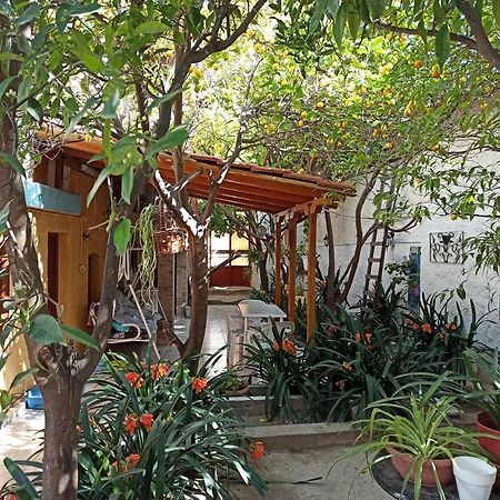 Aegina Town Traditional Lemon House ภายนอก รูปภาพ